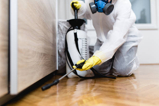 Best Local Pest Control Services  in Shattuck, OK