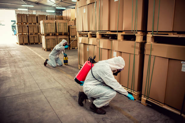 Best Pest Control Near Me  in Shattuck, OK