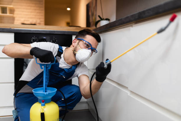 Best Pest Control for Businesses  in Shattuck, OK