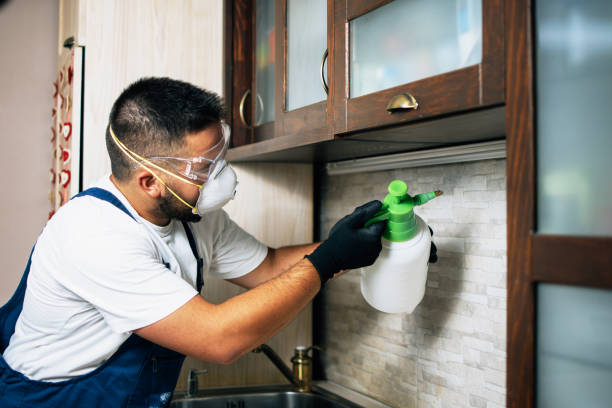 Best Insect Control  in Shattuck, OK