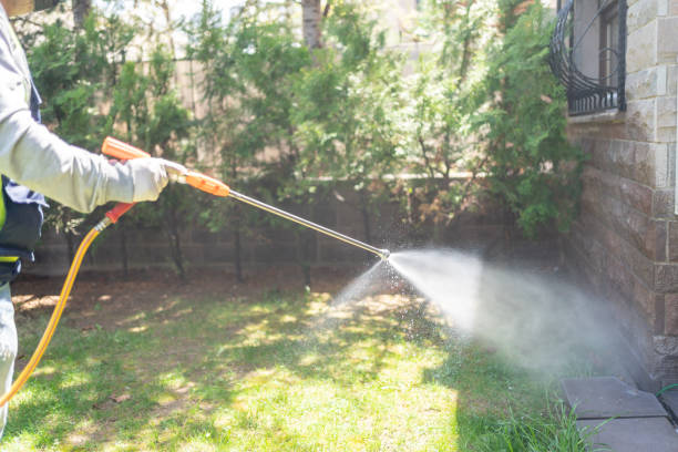 Best Emergency Pest Control  in Shattuck, OK