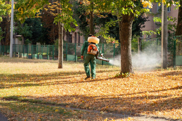 Best Pest Inspection Near Me  in Shattuck, OK