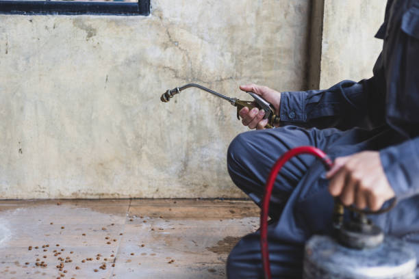 Pest Control Cost in Shattuck, OK