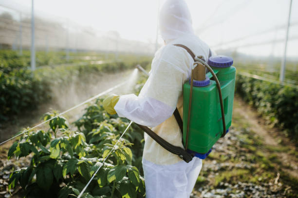 Best Pest Removal Services  in Shattuck, OK